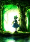  ascot bad_id bad_pixiv_id blue_eyes daiyousei forest green_hair hair_ribbon highres nature ribbon shirt side_ponytail skirt skirt_set solo touhou vest water wings yorugao 