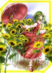  ascot blue_sky blurry border bud cloud depth_of_field dress_shirt flower frills grass green_eyes green_hair kazami_yuuka kneehighs lips long_sleeves looking_at_viewer makoto5391 mary_janes outstretched_arms parted_lips puffy_sleeves shirt shoes skirt sky solo standing sunflower touhou umbrella vest wind 