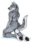  anthro butt canine korrok male mammal paws solo tail teasing wolf 