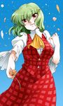  arm_up ascot flower green_hair hair_ornament hairclip kazami_yuuka outstretched_hand petals phenne poppy_(flower) red_eyes shirt short_hair skirt skirt_set solo touhou vest 