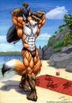  3 andre anthro beach beautiful beefcake beefy bicep biceps bodybuilder bodybuilding buff built bulge canine clothing coron djdarkfox flexing fox hot hunk male mammal muscles pose quads red_fox ripped rippling seaside shirt shredded shreds solo speedo stud swimsuit tank_top thighs towel underwear washboard 