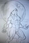 full_moon howl male mammal moon muscles nude pencil plain_background solo tribalwolfie were werewolf 
