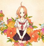  bad_id bad_pixiv_id brown_eyes floral_background flower forehead kinsupa kuzuryuu_momoko orange_hair school_uniform seiza serafuku sitting smile solo sumomomo_momomo 