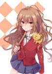  aisaka_taiga bokken brown_eyes brown_hair face long_hair palmtop_tiger piyoyanagi school_uniform solo sword tiger toradora! weapon wooden_sword 