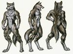 anatomy anthro back_view bipedal brown_fur canine colored_pencil colored_pencil_(art) countershading digitigrade dipstick_tail ears_up fist fluffy_tail front_view full-length_portrait fur grey_countershading grey_fur hand_on_hip iisaw mammal markings model_sheet multiple_angles multiple_poses muscles nude nullo plain_background pointy_ears pose socks_(marking) solo spread_legs spreading standing three-quarter_view traditional_media white_background wolf 