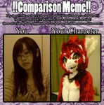  comparison cute dragon female fursuit japanese laki meme portrait real red self 