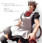  alternate_costume animal_ears apron black_keys black_legwear bow brown_eyes brown_hair cat_ears cat_tail crossdressing dual_wielding enmaided extra_ears fate/zero fate_(series) holding kemonomimi_mode kotomine_kirei maid maid_headdress male_focus shinkon_santaku tail thighhighs translated zettai_ryouiki 