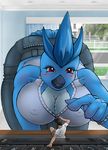  articuno avian big_breasts bird blush breasts butt cleavage female human keyboard looking male pok&eacute;mon red_eyes scared size_difference tail window 