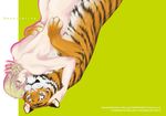  1boy animal blonde_hair green_eyes male male_focus nude simple_background smile solo tiger tiger_&amp;_bunny yellow_eyes 