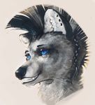  blue_eyes canine female fur grey grey_fur grin hair mammal mohawk reykat solo teeth wolf 