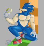  balls blue_fur daikuhiroshiama eulipotyphlan fur hedgehog male mammal penis solo sonic_(series) sonic_the_hedgehog 