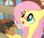  animal_genitalia bed blue_eyes blush cum cum_in_mouth cum_inside cum_on_face cum_string cumshot day doctor_whoof_(mlp) doctor_whooves_(mlp) equine facial_cumshot fatalfox fellatio female feral fluttershy_(mlp) friendship_is_magic hair hand_on_head horse horsecock male mammal my_little_pony oral oral_sex orgasm pegasus penis pink_hair pony saliva sex straight wings 