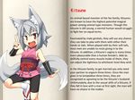  animal_ears bike_shorts cameltoe character_profile fox_ears fox_tail kitsune kitsune_(mon-musu_quest!) kitsune_(mon-musu_quest) mon-musu_quest! monster_girl tail translated 