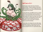  breasts character_profile green_hair mon-musu_quest! monster_girl plant_girl tagme tentacle translated vines 