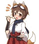  animal_ears blush breasts brown_eyes brown_hair cake food goggles goggles_on_head japanese_clothes jpeg_artifacts katou_keiko medium_breasts null_(nyanpyoun) scarf short_hair solo surprised tail thighhighs world_witches_series 