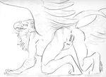  all_fours anthro anus avian beak butt female gryphon kaputotter nude presenting presenting_hindquarters pussy raised_tail sketch solo spread_wings tail wings 