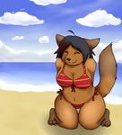  bikini canine clothed clothing cute eyes_closed female fox mammal seaside skimpy smile solo swimsuit tacoyaki 