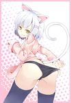  animal_ears ass bakemonogatari black_hanekawa black_legwear black_panties cat_ears dress_shirt fang hanekawa_tsubasa highres monogatari_(series) nekomonogatari nisemonogatari panties shirt short_hair snowflyer tail thighhighs underwear white_hair yellow_eyes 