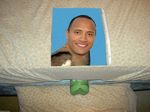  avian bed bird dwayne_johnson fleshlight humor photo sex_toy 