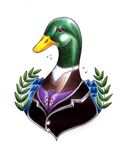  avian beak beat-kids-gallery brown_eyes duck feral green mallard solo suit 