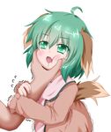  ahoge animal_ears arm_grab brown_dress cheek_squash chin_grab dress drooling fang green_eyes green_hair hand_on_another's_face kasodani_kyouko oden_(th-inaba) open_mouth out_of_frame saliva short_hair solo_focus tail touhou trembling 
