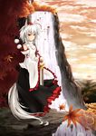  animal_ears bare_shoulders cloudy.r detached_sleeves hat highres inubashiri_momiji leaf red_eyes short_hair silver_hair skirt solo sword tail tokin_hat touhou tree water waterfall weapon wolf_ears wolf_tail 