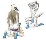  back balls beak big_penis bird blue_footed_boobie blue_footed_booby blue_penis butt clothing crouching edit edited erection falcon_mccooper flaccid kneeling looking_at_viewer looking_back male nude pants pants_down penis plain_background pulsar solo underwear white_background 