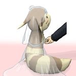  bride dress ears fallinnight female ferret furret hand_holding human long_tail mammal mustelid nintendo pok&#233;mon pok&eacute;mon tail video_games wedding 