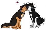  canine cute dog female german husky kissing lesbian love shepherd 