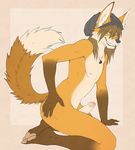  avoid_posting canine dipper erection fox hair invalid_tag looking_at_viewer male nude penis pose solo 