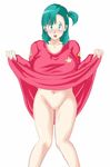 0byte blue_eyes blush breasts bulma censored dragon_ball dragonball dress dress_lift green_hair large_breasts long_hair looking_at_viewer navel no_panties open_mouth side_ponytail smile solo standing zero_byte 