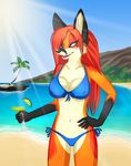  anthro beach bikini candyfoxy canine clothed clothing female fox mammal margarita redfox seaside skimpy swimsuit tight_clothing vixy 