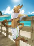  anthro avian beach beak claws clothing facial_markings fur gryphon male markings midriff orange_eyes outside pose sand seaside shorts solo swimsuit vexxy water 