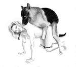  bestiality canine dog doggy_position doggystyle female feral from_behind human human_on_feral interspecies male mammal sex straight unknown_artist 