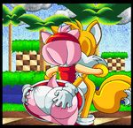  amy_rose animal_ears big_butt breasts butt canine clothed clothing female fox hedgehog miles_prower sega sonic_(series) tagme virus-20 