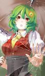  ascot bad_id bad_pixiv_id breasts broken_glass corset emerane fourth_wall glass green_hair hair_ornament hands kazami_yuuka large_breasts looking_at_viewer open_mouth parasol red_eyes short_hair solo touhou umbrella upper_body 