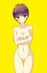  alternate_hairstyle amagi_yukiko black_hair blush breast_hold breasts brown_eyes crossed_arms hair_up highres navel nipples nude persona persona_4 shy simple_background small_breasts solo thigh_gap yumegi_(mg.) 