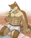  2xist anthro biceps boxers bulge canine cerb0980 clothed clothing fur half-dressed ice_cream male mammal muscles pecs pool pose sitting solo topless underwear water wolf 