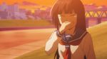  animated animated_gif brown_eyes brown_hair bungaku_shoujo_(danshi_koukousei) danshi_koukousei_no_nichijou embarrassed long_hair lowres non-web_source riverbank school_uniform screencap serafuku sneezing snot solo sunset truth 