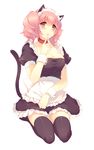  animal_ears blush cat_ears cat_tail collar inu_x_boku_ss kinoko kneeling maid maid_headdress roromiya_karuta seiza sitting solo tail thighhighs zettai_ryouiki 