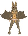  5_toes bat breasts brown_fur chest_tuft claws clothed clothing female front fur looking_at_viewer mammal navel nipples panties panties_down pira plain_background red_eyes skimpy solo spread_legs spreading standing toe_claws toes topless tuft underwear undressing white_background wings 