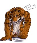  english_text feline looking_at_viewer male mammal nude penis penis_tip rwolf sheath solo stripes text tiger 
