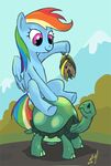  bat equine female feral friendship_is_magic hooves horse mammal my_little_pony pegasus pony rainbow_dash_(mlp) reptile scalie sitting solo tank_(mlp) tortoise turtle wings 