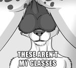  balls big_balls canine cub duo edit english_text gay greyscale humor image_macro joke lol_comments male mammal monochrome musk_sniffing sparklemotion tea_bagging text these_aren't_my_glasses young 