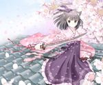  animal_ears catgirl cherry_blossoms katana kuroinu original sword tail weapon 