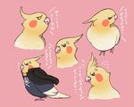  angry animalization bird black_eyes cockatiel dark_persona dual_persona feathers fktumon jacket jolly_roger looking_at_viewer parrot persona persona_4 profile scar skull tatsumi_kanji translation_request yellow_eyes 