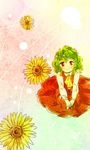  blush flower green_hair kazami_yuuka kinosaki red_eyes smile solo sunflower touhou 
