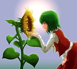  ebiblue flower green_hair hand_on_thigh highres kazami_yuuka leaning_forward profile short_hair smile solo sunflower touhou 