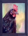  brown_eyes comb eattoast feral looking_at_viewer original portrait rooster solo yellow_eyes 
