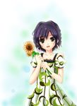  bad_id bad_pixiv_id brown_eyes flower kazumi1904 original purple_hair short_hair solo sunflower 